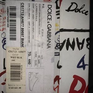 Dolce and gabbana mesh sorrento sneaker